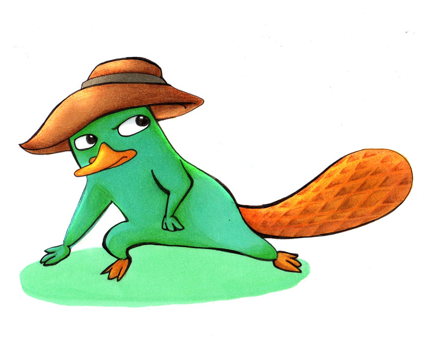 Perry the platypus by Jack-a-Lynn on deviantART