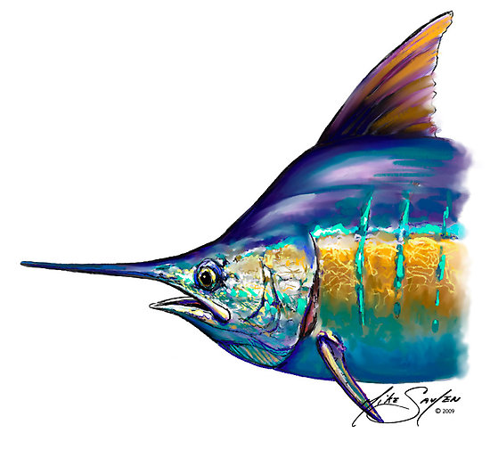 Marlin Portrait - Sport Fishing Fish Drawing Mike Savlen Art" by ...