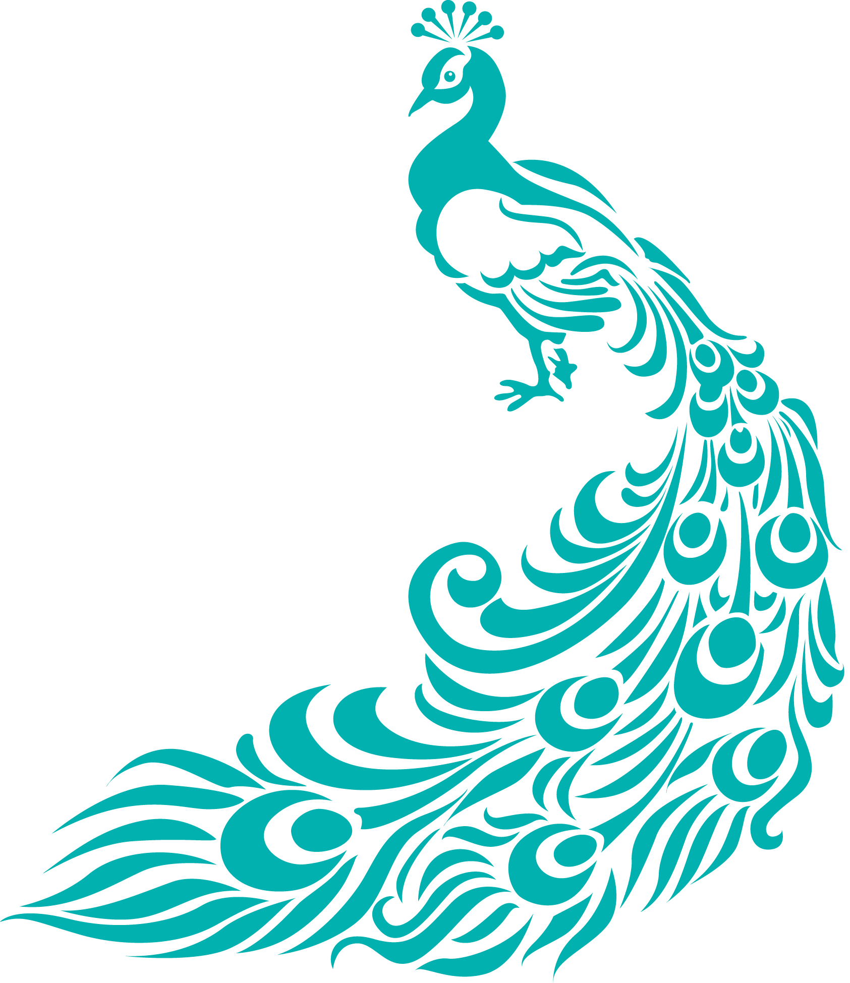 clipart pictures peacock - photo #13