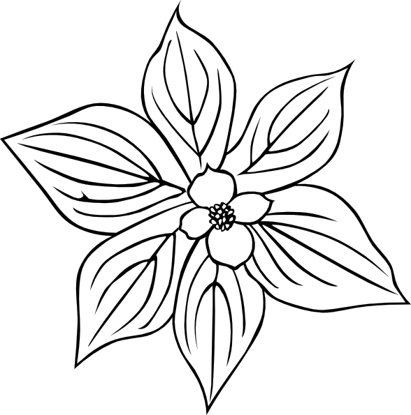 Snowdrop Flower Tattoo - ClipArt Best
