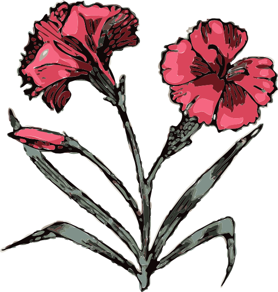 Pink Carnation Tattoo | Cool Eyecatching tatoos