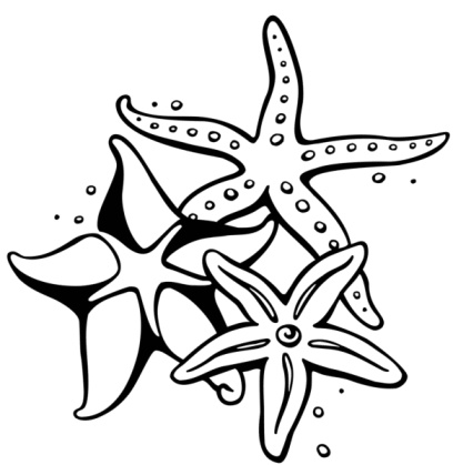 Starfish Tattoo Meaning | eyecatchingtattoos.
