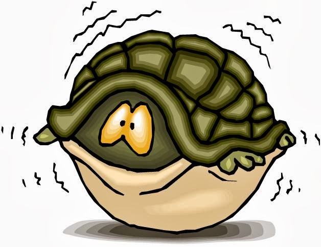 Turtle Shell Picture - ClipArt Best