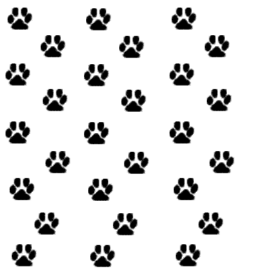 Paw Wallpapers and Pictures | 112 Items | Page 1 of 5