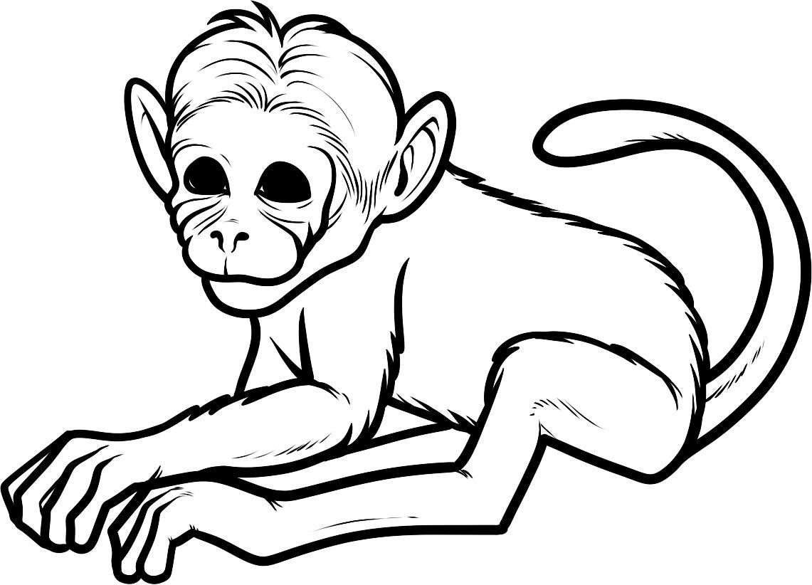 Monkey Coloring Pages For Kids To Print | Animal Coloring pages ...