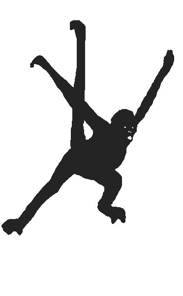 Spider Monkey « Ayrshire Alliance TA