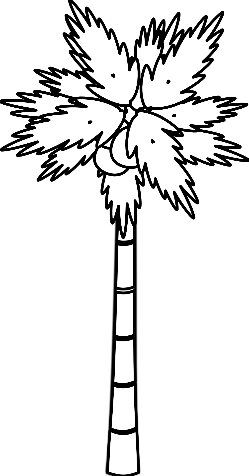 Palm Tree Black White Line Art Flower xochi.info Flowers SVG ...