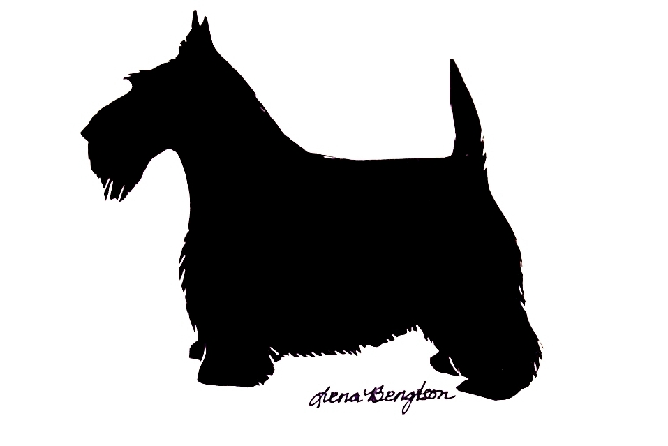 clipart terrier dog - photo #46