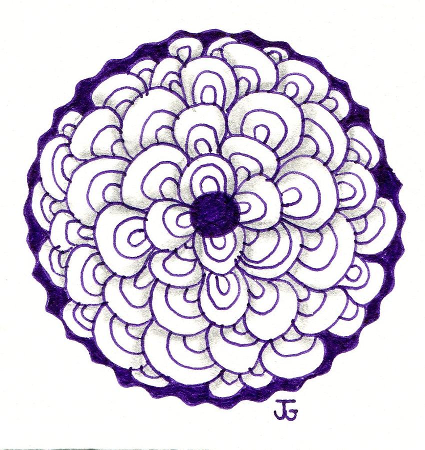 Lotus Flower Sketches