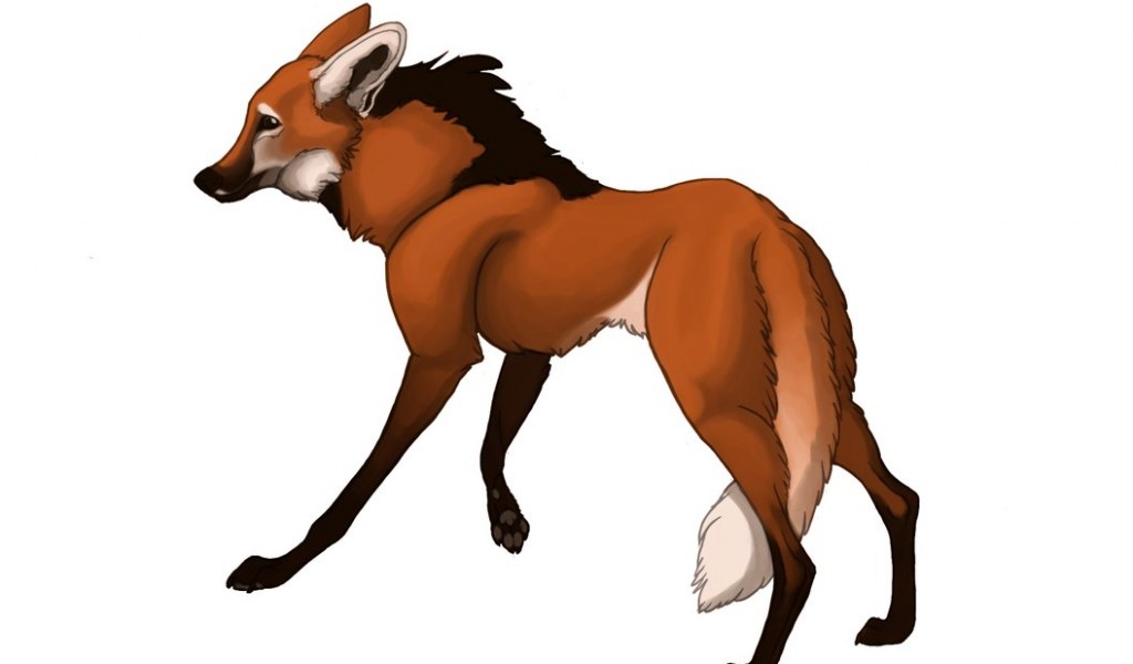 Animated Maned wolf by NoviLunar Wallpaper - Animal Backgrounds