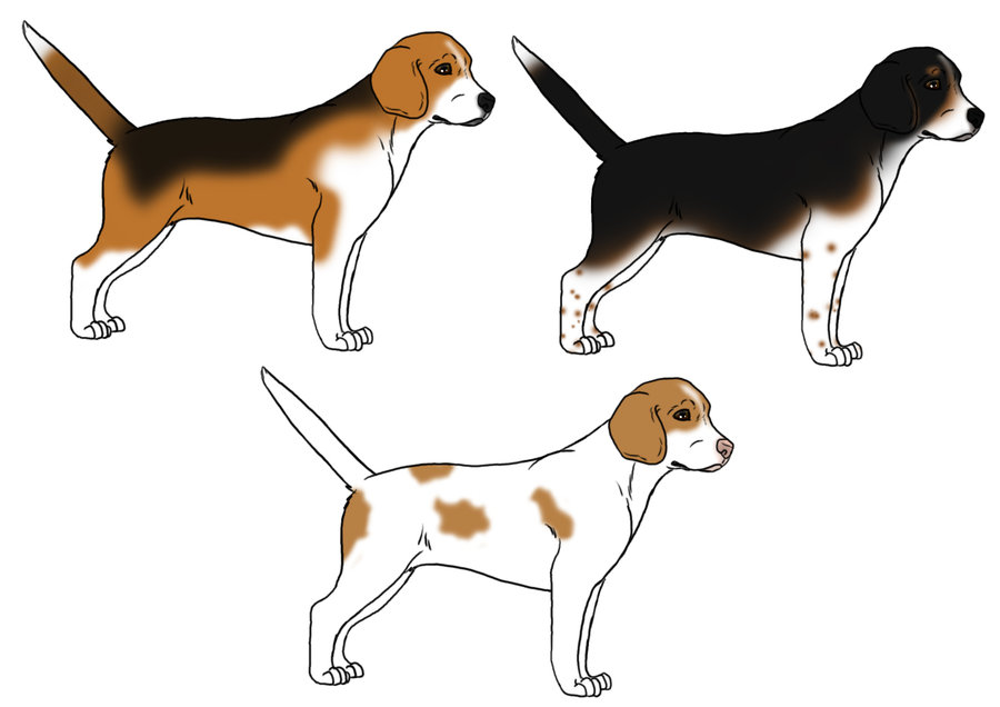 shannonfae: Beagle designs by Lily-Pad-Stables on deviantART