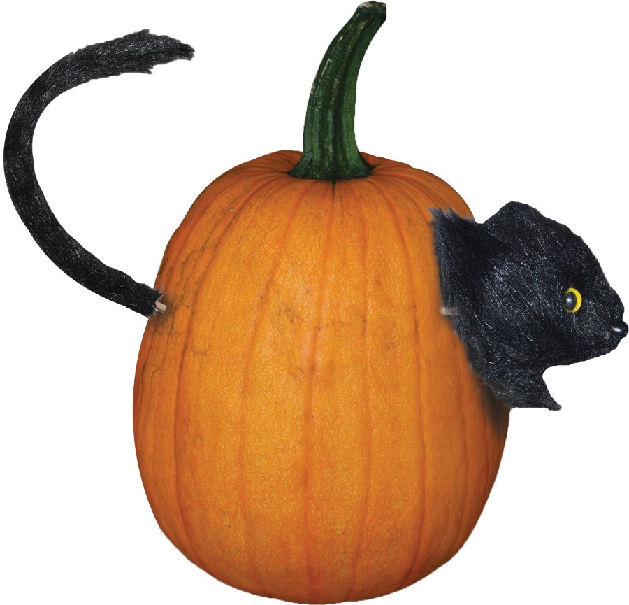 Pumpkins & Carving utensils - Halloween Props Decorations