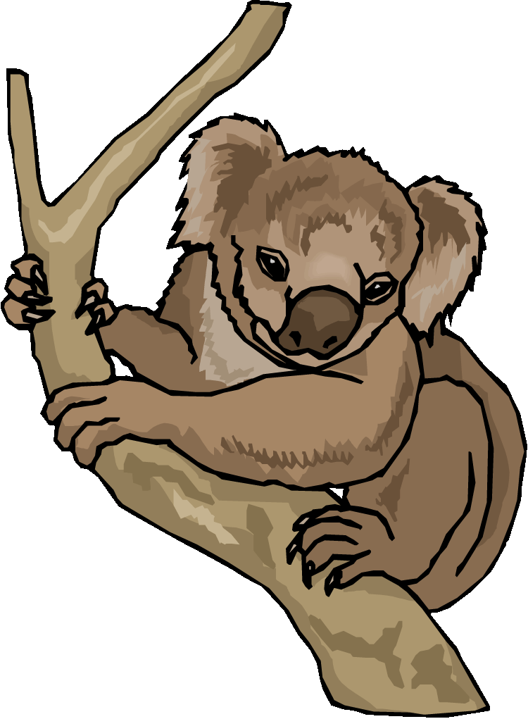clipart of koala - photo #21