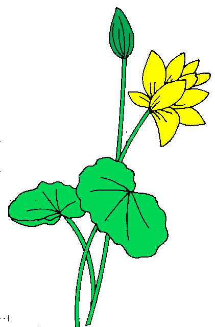 clip art free lotus flower - photo #32