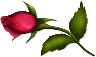 Rose Bud Painted Clipart