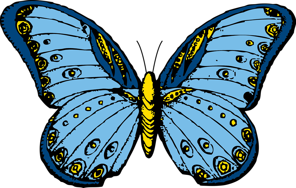 Free Stock Photos | Illustration of a blue butterfly | # 10672 ...