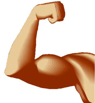 Muscle Arm Clip Art - Cliparts.co