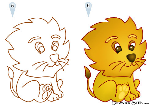 Cartoon Lion Drawings