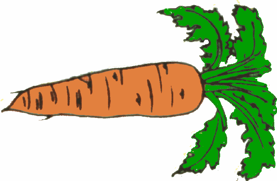 funcentrate.com » Carrot Clip Art