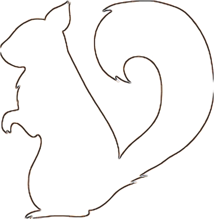 Squirrel Pictures Free Cliparts.co