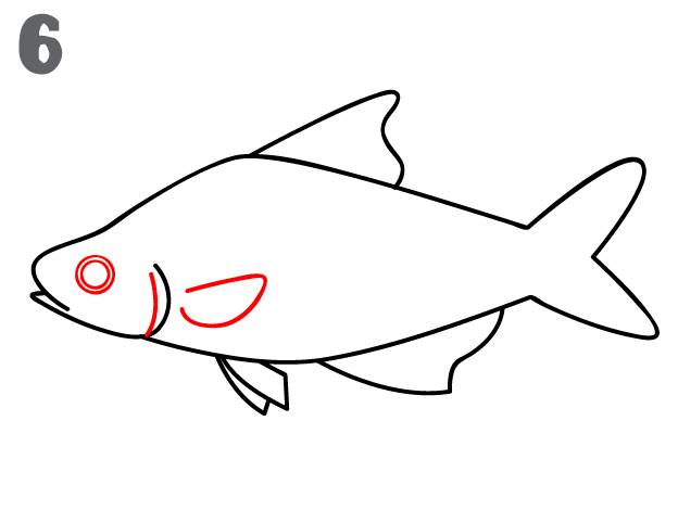 Draw Fish For Kids images