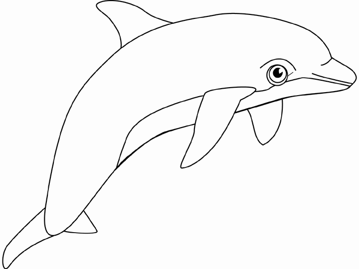 Printable pictures of dolphins for kids DUŠAN ČECH