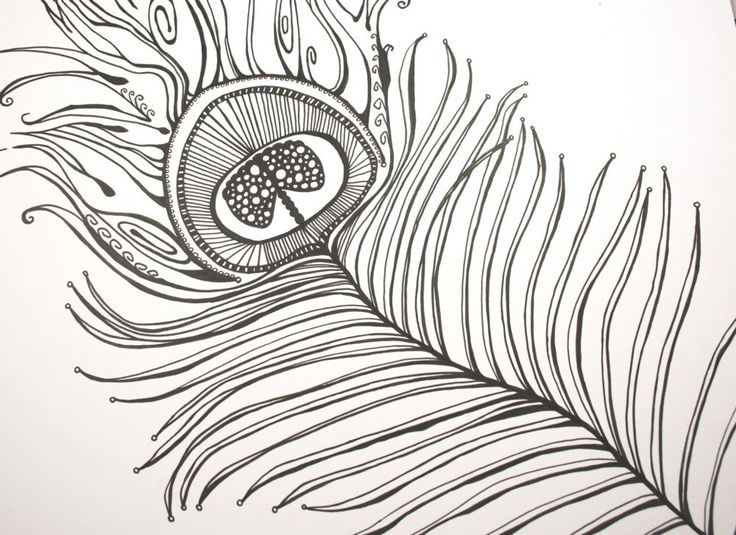 Proud As A Peacock . Original Pen and Ink Drawing . Feather Art ...
