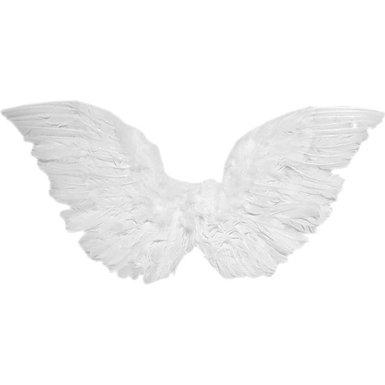 Amazon.com: Forum Novelties 66061F White Small Angel Wings ...