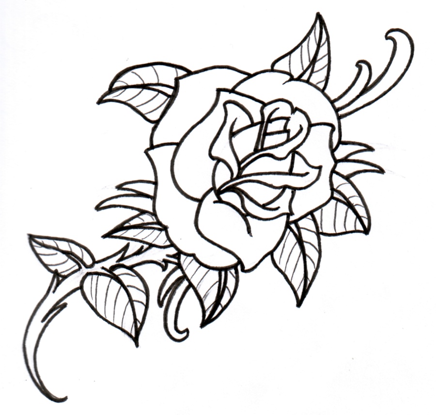 Line Drawing Rose - Cliparts.co