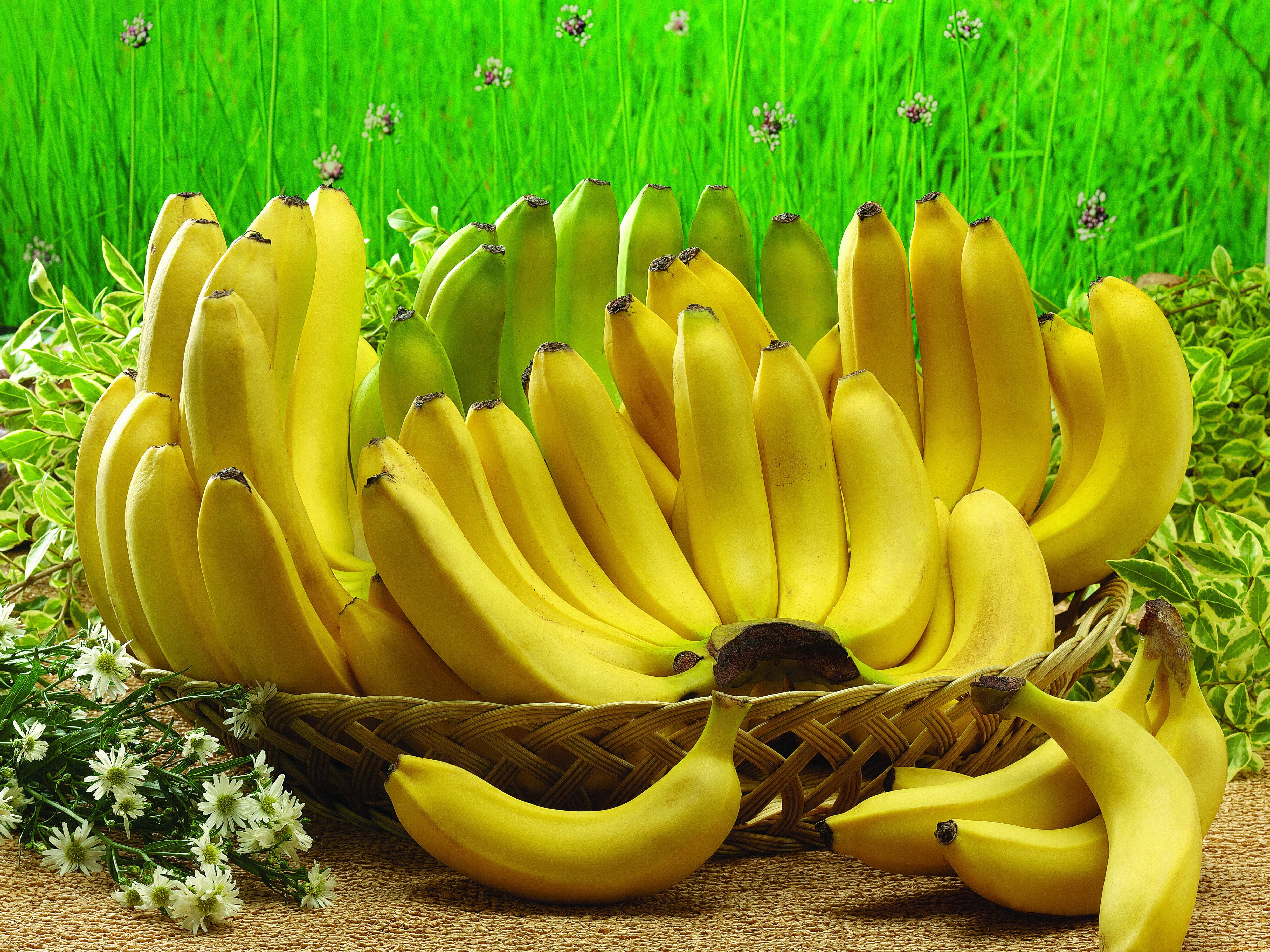 28 Banana HD Wallpapers | Backgrounds - Wallpaper Abyss