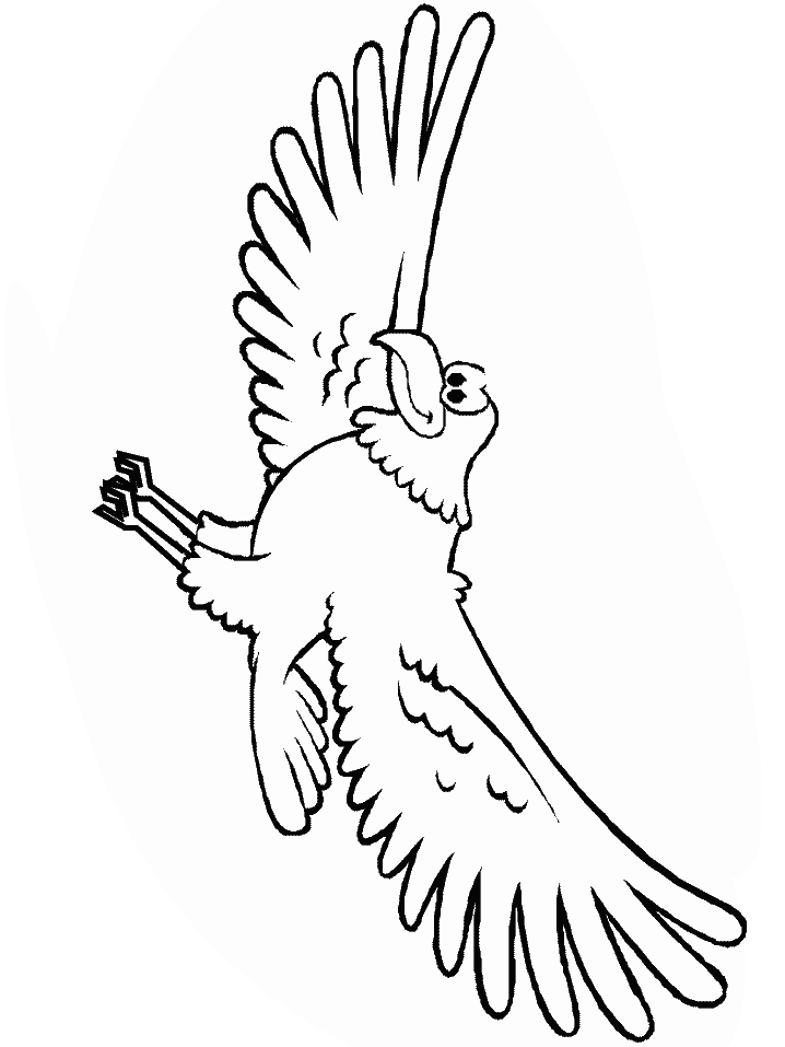 eagle cartoon coloring pages - photo #6