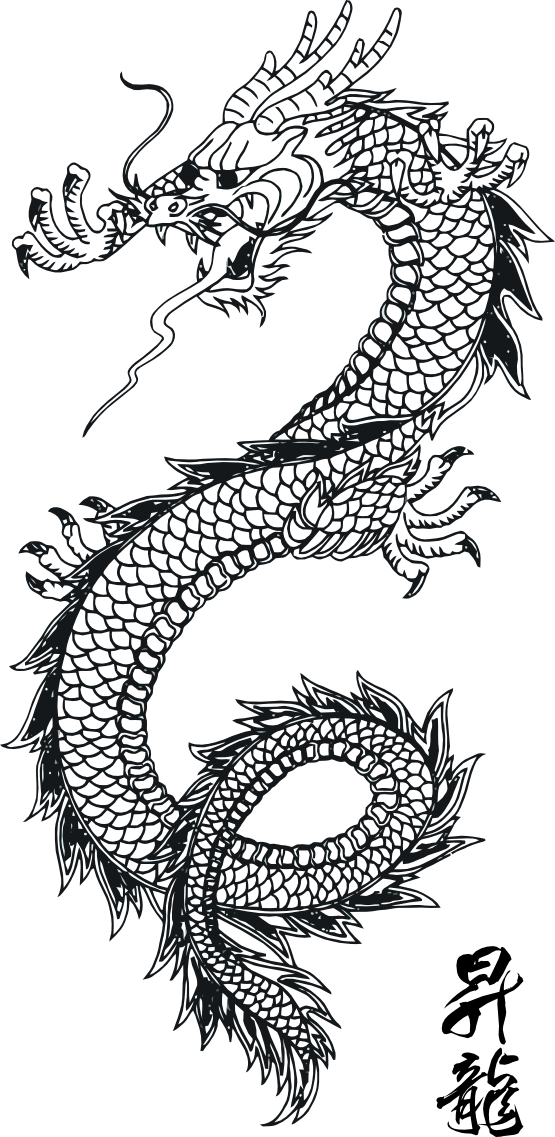 Dragon 54 Chinese new Year 2 12 Art Coloring Book Colouring Sheet ...