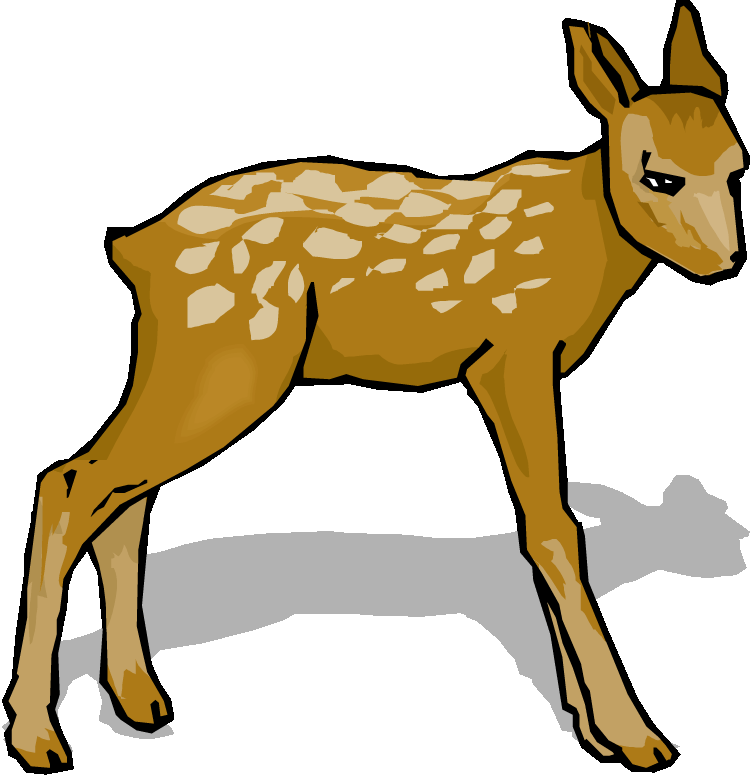 clip art baby deer - photo #33