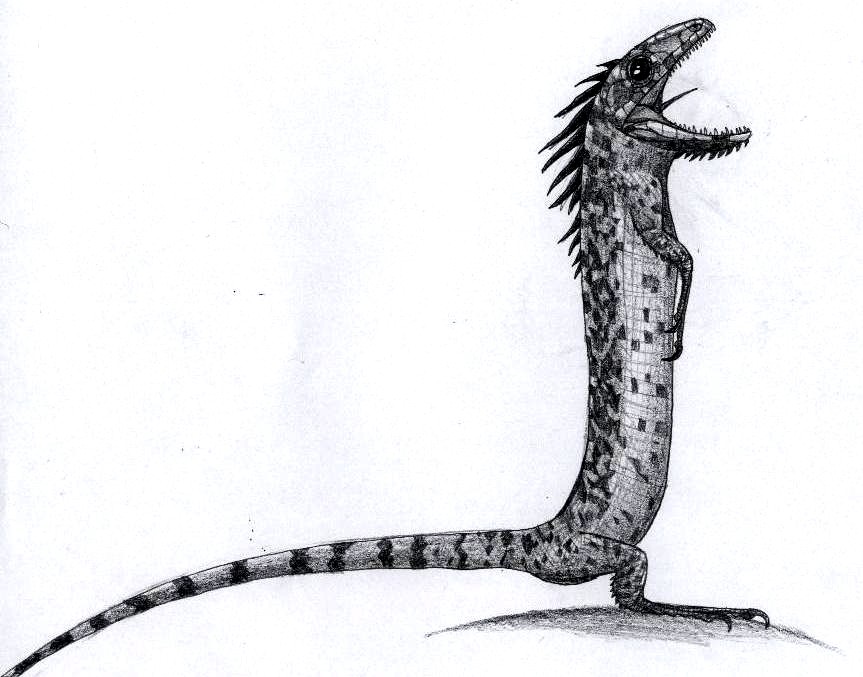 Reptiles | Reptiliana: Ultimate Reptile Resource