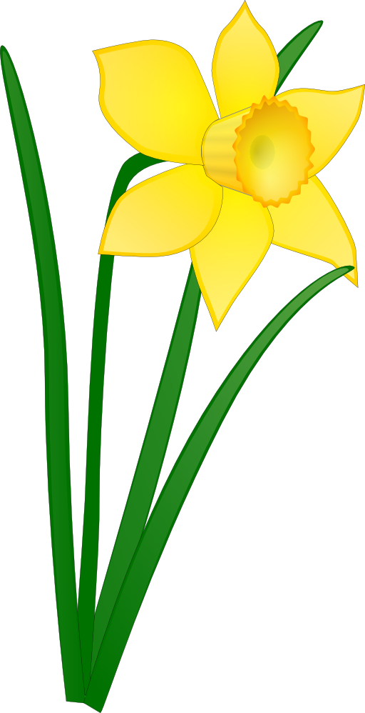 Daffodil Clipart | i2Clipart - Royalty Free Public Domain Clipart