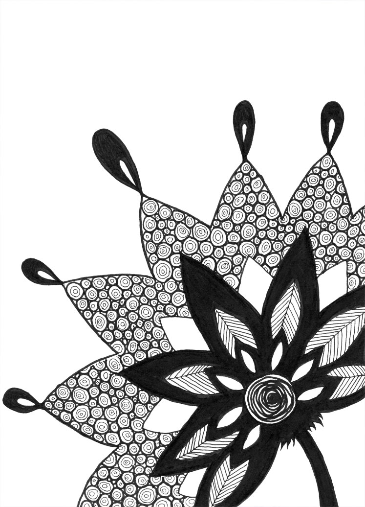 Daily Art: Lotus Flower « Eclectic Cycle