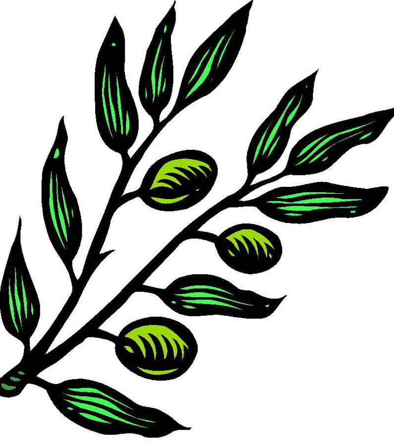 Pin Branch Clip Art Images Dove With Olive Stock Photos Clipart ...