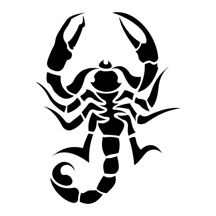Drawings Of Scorpions