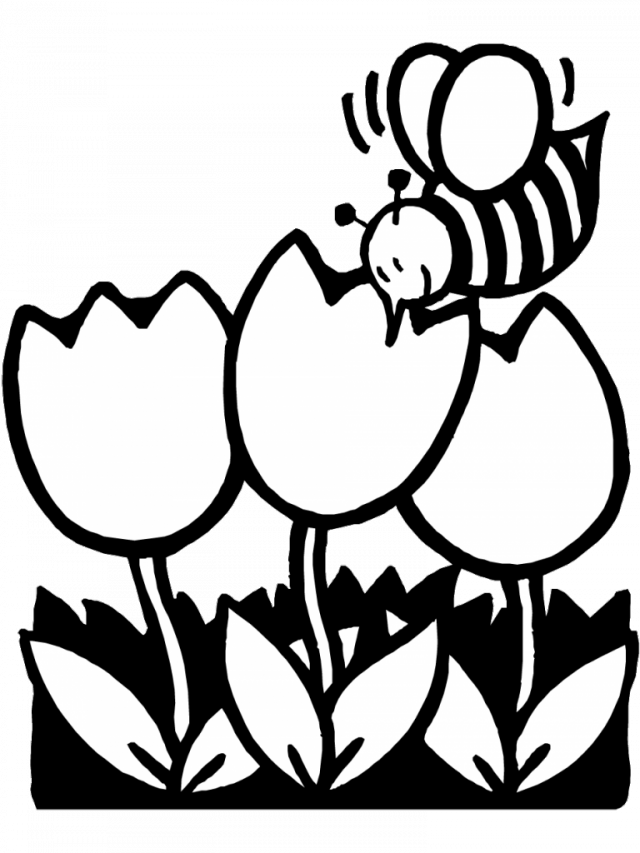 Bees And Tulips Coloring Pages For Kids Easy Coloring Pages For ...