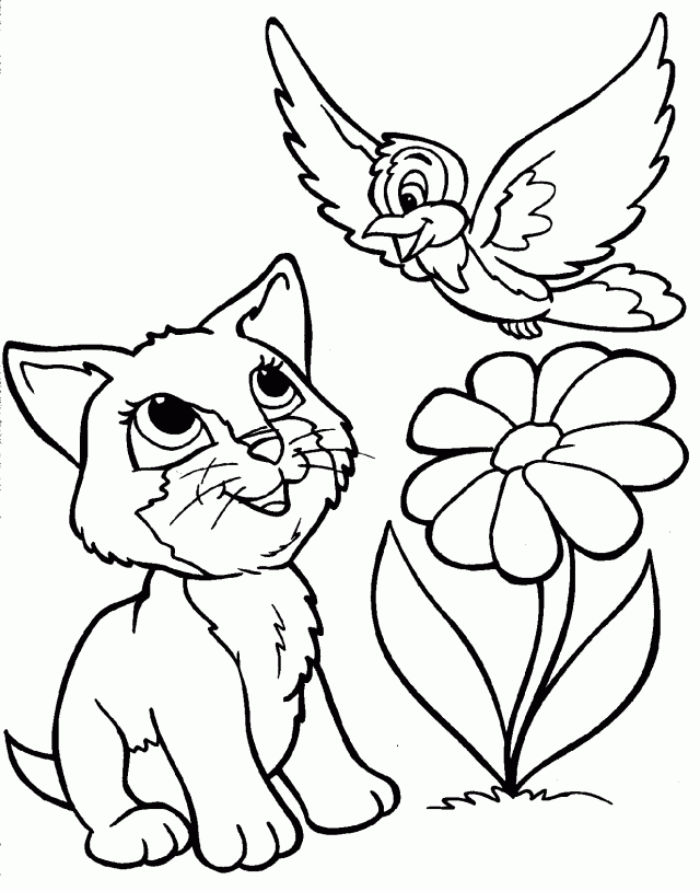 Cat Coloring Pages 42 260949 High Definition Wallpapers Wallalay ...