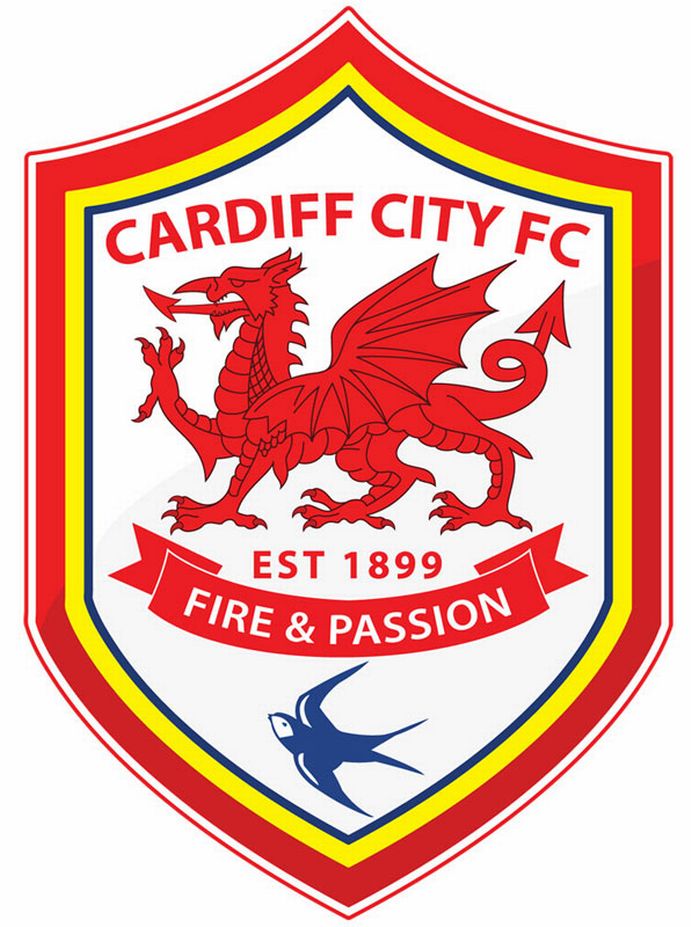 The Great Cardiff City emblem debate: The results - Wales Online