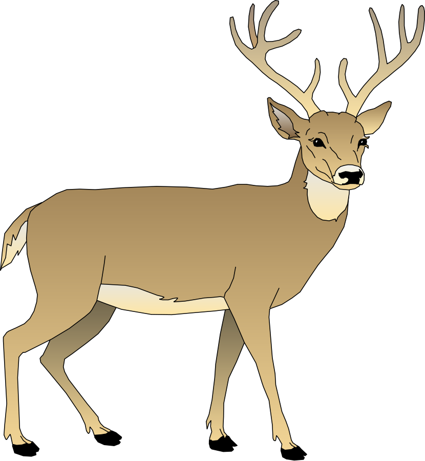 Cartoon Pictures Of Deer Cliparts.co
