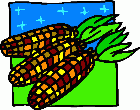 Indian Corn Clipart Images & Pictures - Becuo