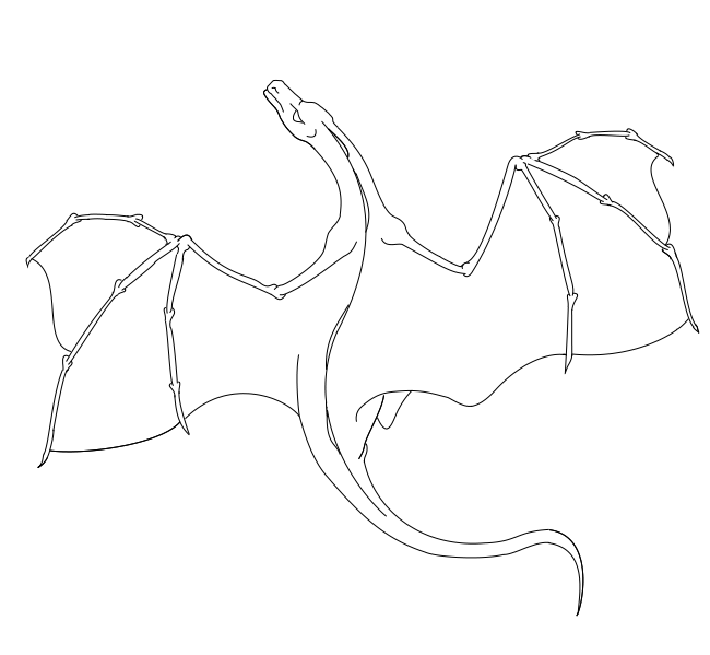 Easy Flying Dragon Drawings Images & Pictures - Becuo