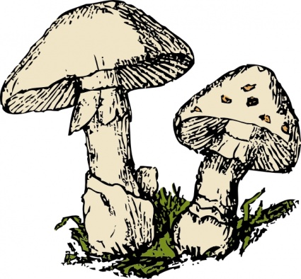 Two Mushrooms clip art - Download free Other vectors