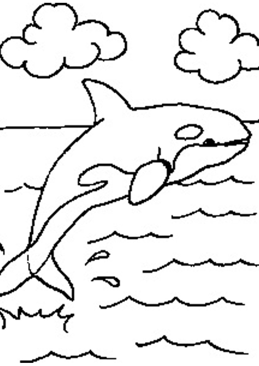 Orca Whale Coloring Sheet