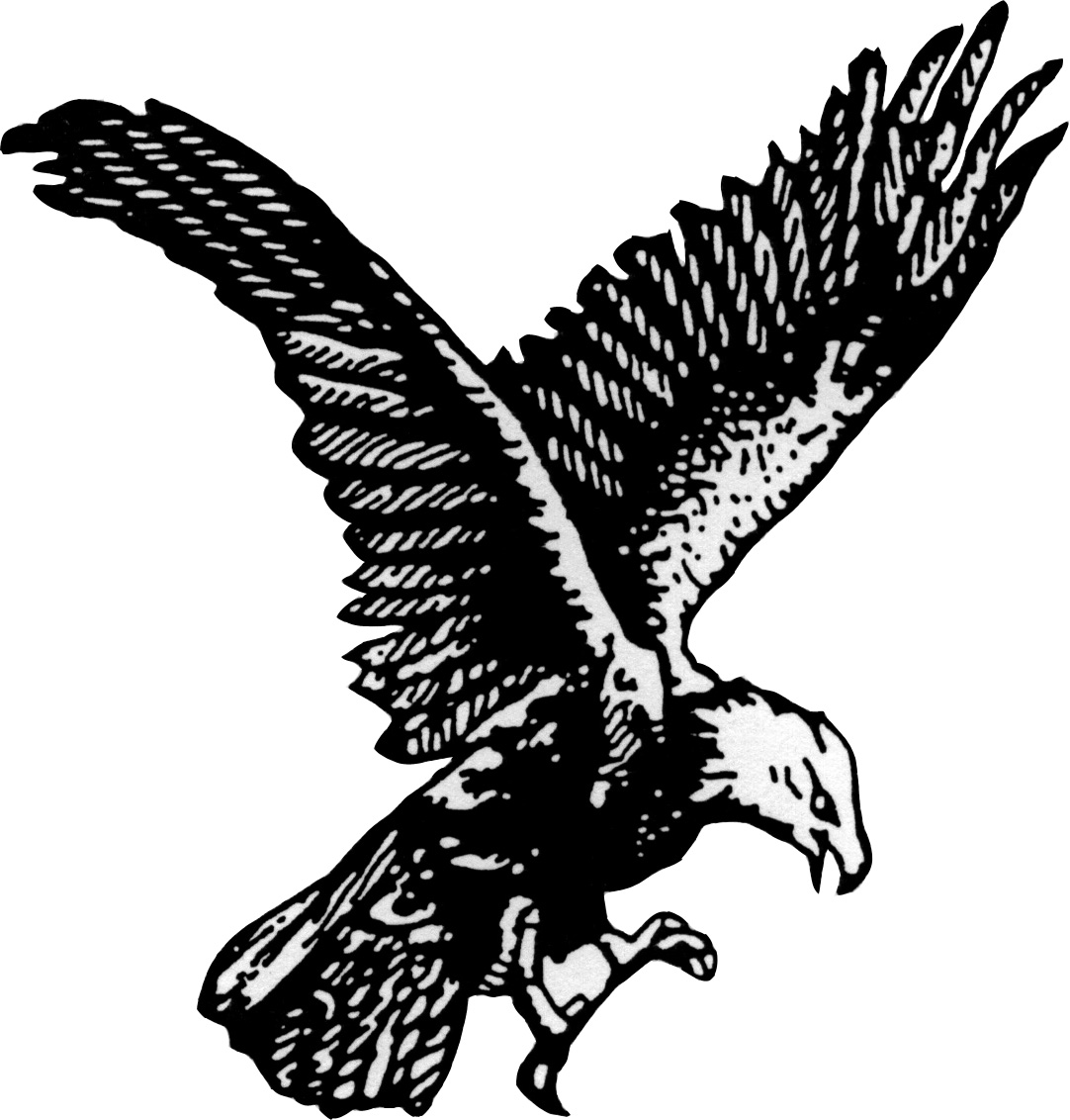 eagle drawings clip art - photo #42