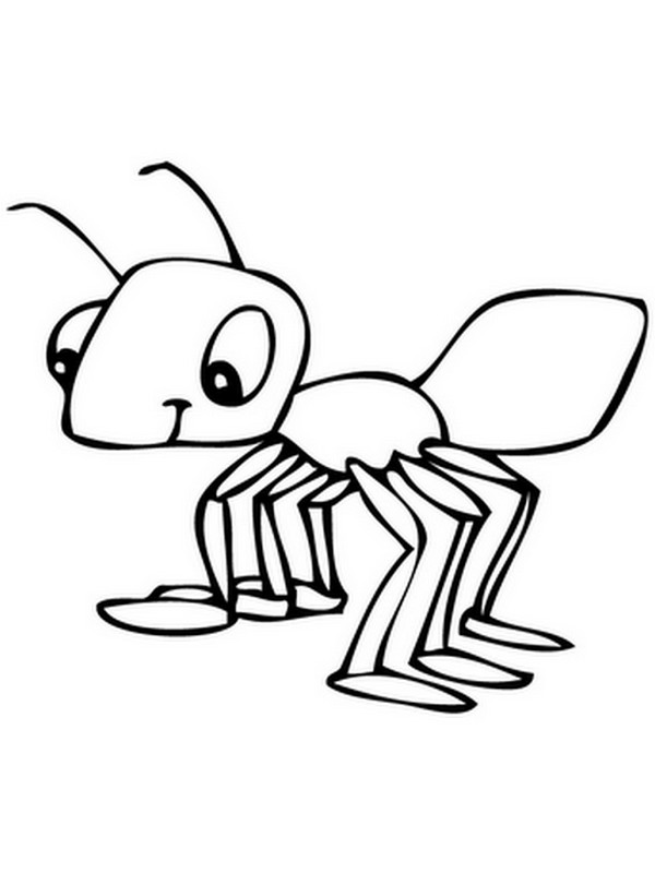 Simple Ant Coloring Page for Kids