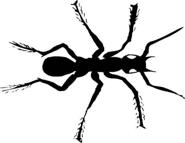 Free Ant Clipart - Black Ants - Red Ants