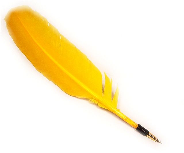 Quill Pens and Feather Quills for Traditional Writing With Ink and ...